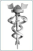 Descrição da página: